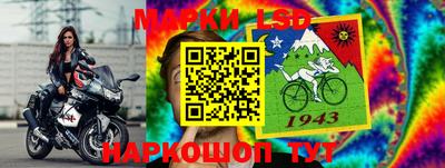 спиды Заводоуковск