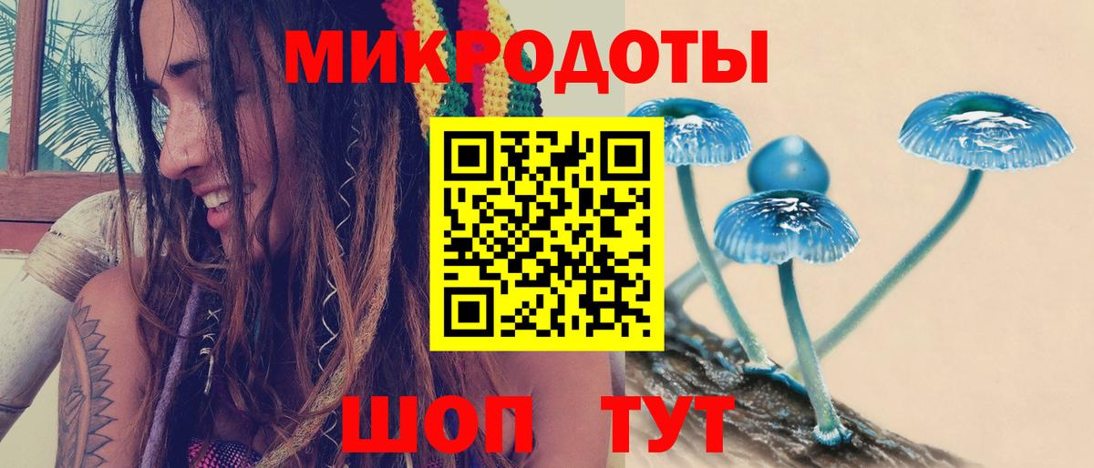 Псилоцибиновые грибы GOLDEN TEACHER  Вход с VPN  Кулебаки 